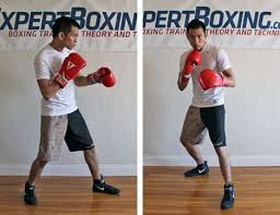 Boxing Stance pic
